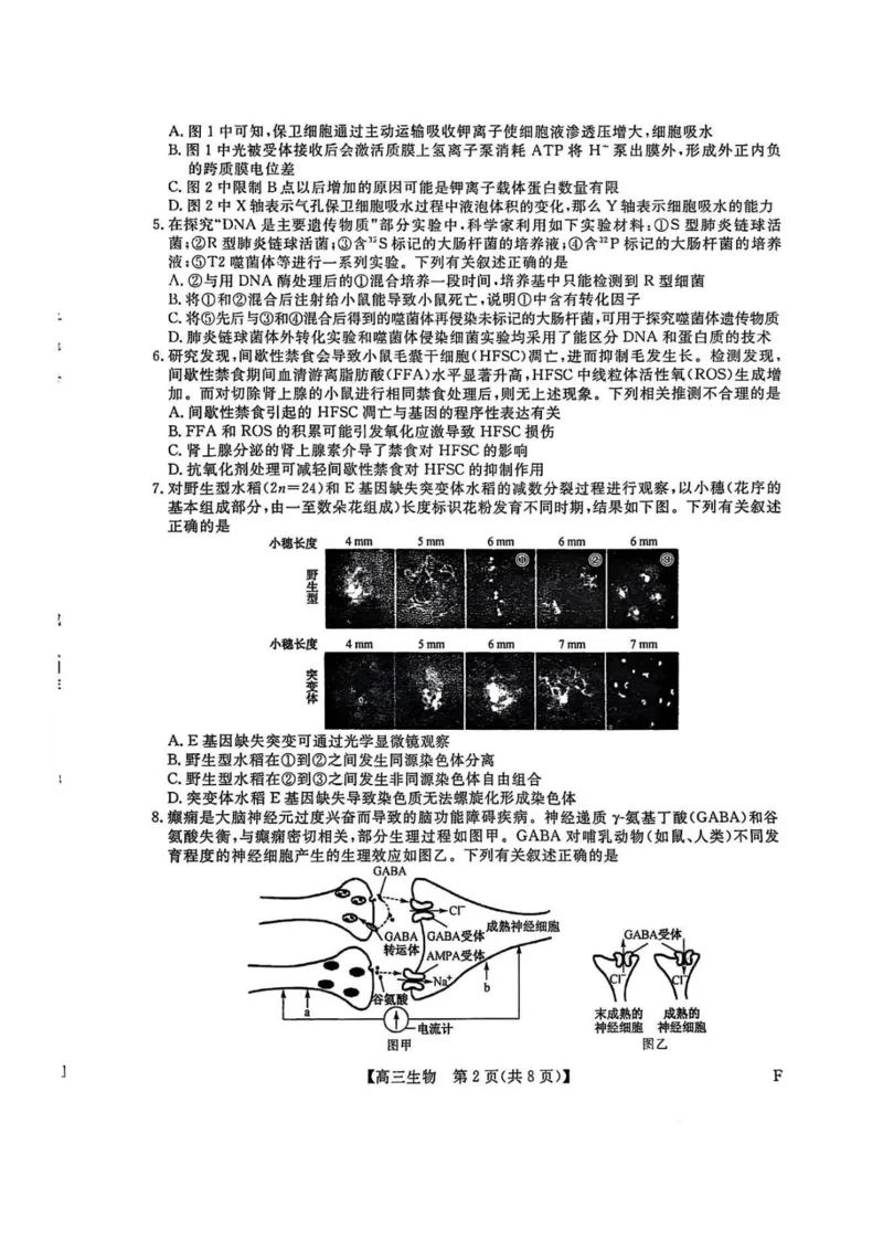 福建百校联考2025届高三5月押题考试-生物试卷（含答案）_2025年5月_250527福建百校联考2025届高三5月押题考试
