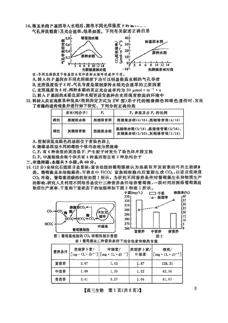 福建百校联考2025届高三5月押题考试-生物试卷（含答案）_2025年5月_250527福建百校联考2025届高三5月押题考试