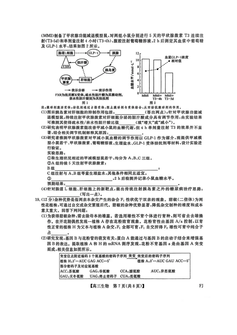 福建百校联考2025届高三5月押题考试-生物试卷（含答案）_2025年5月_250527福建百校联考2025届高三5月押题考试