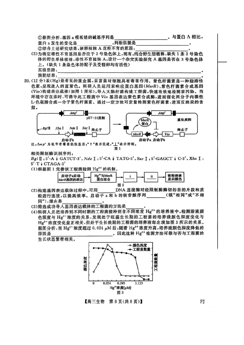 福建百校联考2025届高三5月押题考试-生物试卷（含答案）_2025年5月_250527福建百校联考2025届高三5月押题考试
