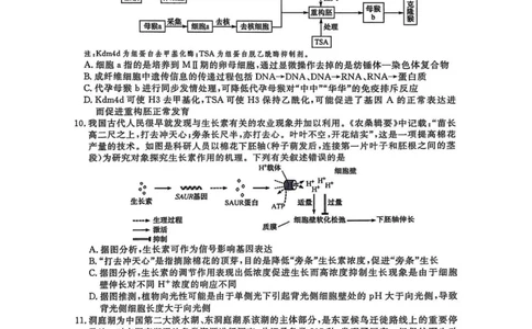 福建百校联考2025届高三5月押题考试-生物试卷（含答案）_2025年5月_250527福建百校联考2025届高三5月押题考试