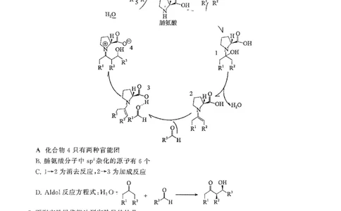 湖北省部分重点中学化学试卷_2025年1月_250116湖北省部分重点中学2025届高三第二次联考（全科）