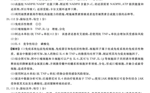 答案_2025年5月_0521河北省金科大联考2025届高三下学期5月份质量检测_2025届河北省高三下学期金科大联考5月份质量检测生物试卷