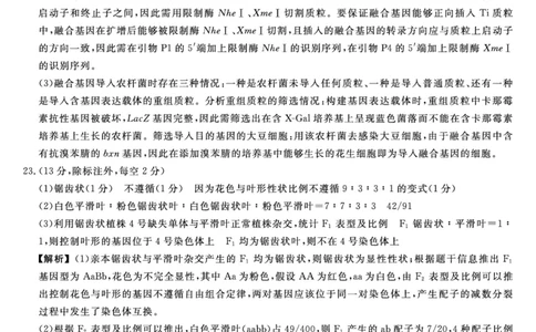 答案_2025年5月_0521河北省金科大联考2025届高三下学期5月份质量检测_2025届河北省高三下学期金科大联考5月份质量检测生物试卷
