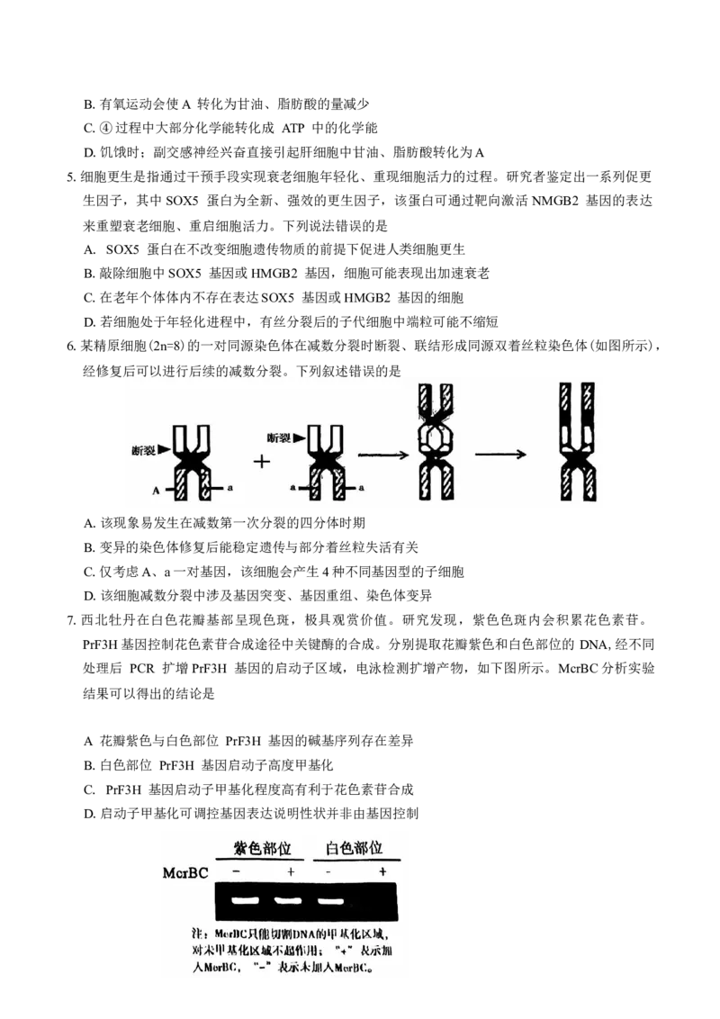 河南省五市2025年高三第一次联考生物学试题（有答案）_2025年3月_250323河南省（驻马店、漯河、南阳、信阳、三门峡）五市2025年高三第一次联考试题（五市一模）（全科）