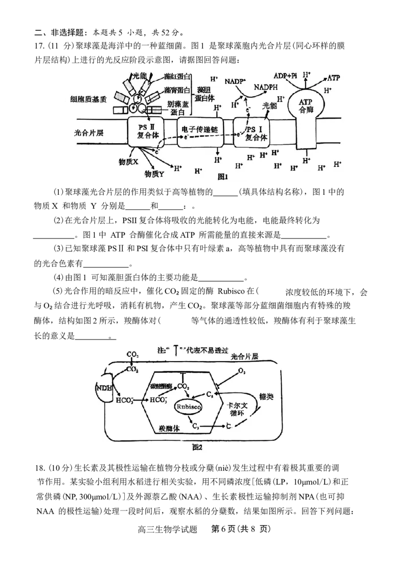 河南省五市2025年高三第一次联考生物学试题（有答案）_2025年3月_250323河南省（驻马店、漯河、南阳、信阳、三门峡）五市2025年高三第一次联考试题（五市一模）（全科）
