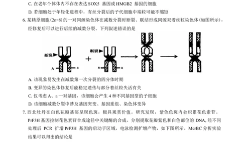 河南省五市2025年高三第一次联考生物学试题（有答案）_2025年3月_250323河南省（驻马店、漯河、南阳、信阳、三门峡）五市2025年高三第一次联考试题（五市一模）（全科）
