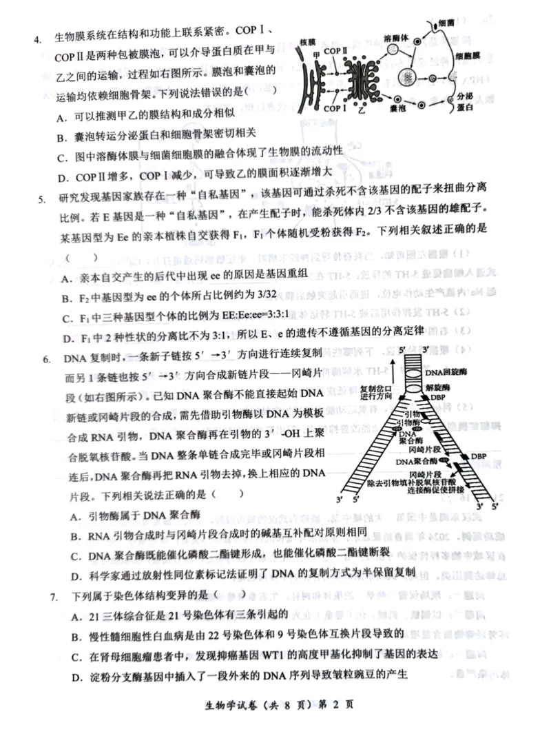 湖北省部分名校2025-2026学年度上学期高三9月月考生物_2025年9月_250920湖北省部分名校2025-2026学年高三上学期9月月考（全科）