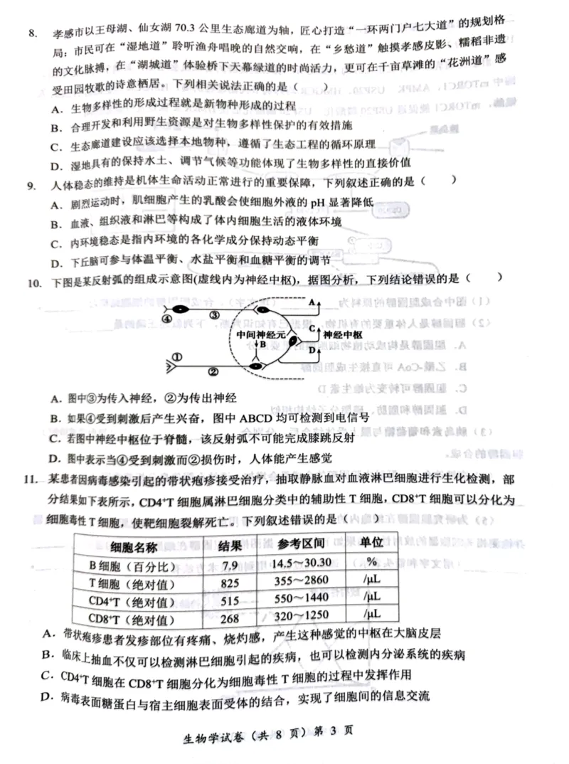 湖北省部分名校2025-2026学年度上学期高三9月月考生物_2025年9月_250920湖北省部分名校2025-2026学年高三上学期9月月考（全科）