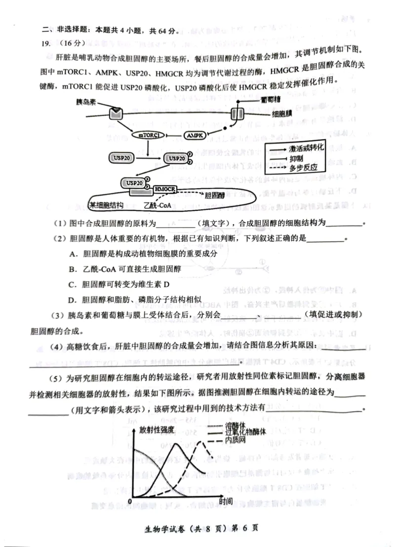 湖北省部分名校2025-2026学年度上学期高三9月月考生物_2025年9月_250920湖北省部分名校2025-2026学年高三上学期9月月考（全科）