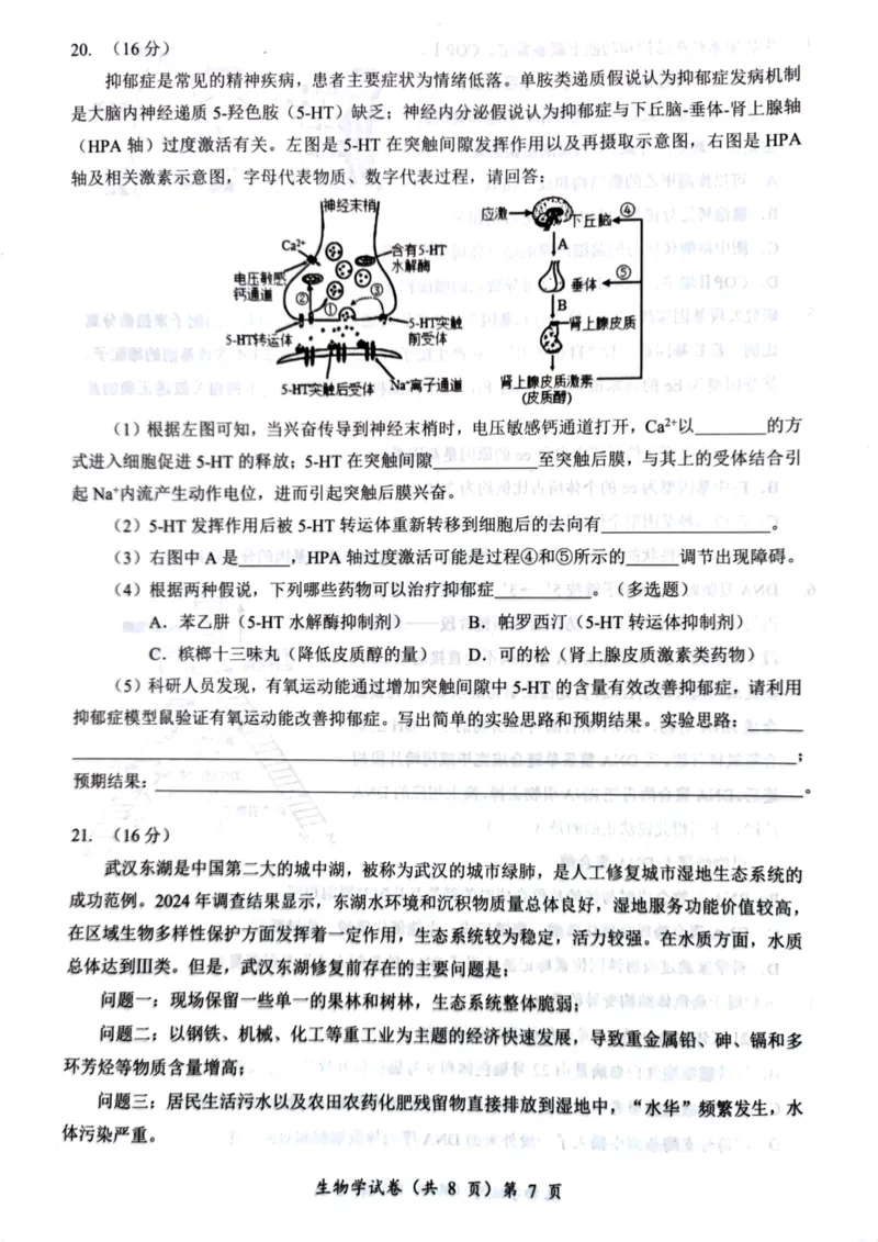 湖北省部分名校2025-2026学年度上学期高三9月月考生物_2025年9月_250920湖北省部分名校2025-2026学年高三上学期9月月考（全科）