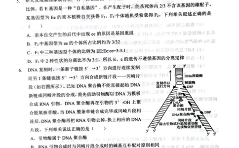 湖北省部分名校2025-2026学年度上学期高三9月月考生物_2025年9月_250920湖北省部分名校2025-2026学年高三上学期9月月考（全科）