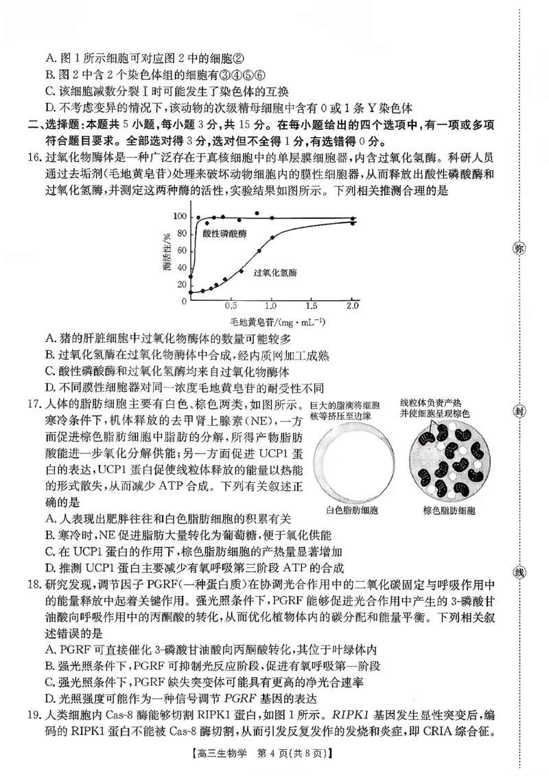 生物试题及参考答案_2025年10月_251013山东省金太阳百校大联考2025-2026学年高三上学期10月联考（全科）