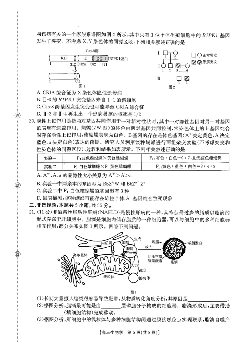 生物试题及参考答案_2025年10月_251013山东省金太阳百校大联考2025-2026学年高三上学期10月联考（全科）