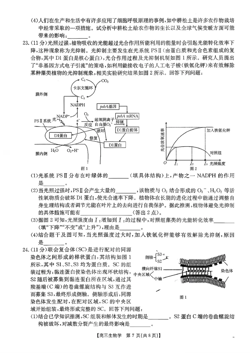 生物试题及参考答案_2025年10月_251013山东省金太阳百校大联考2025-2026学年高三上学期10月联考（全科）