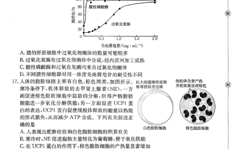 生物试题及参考答案_2025年10月_251013山东省金太阳百校大联考2025-2026学年高三上学期10月联考（全科）