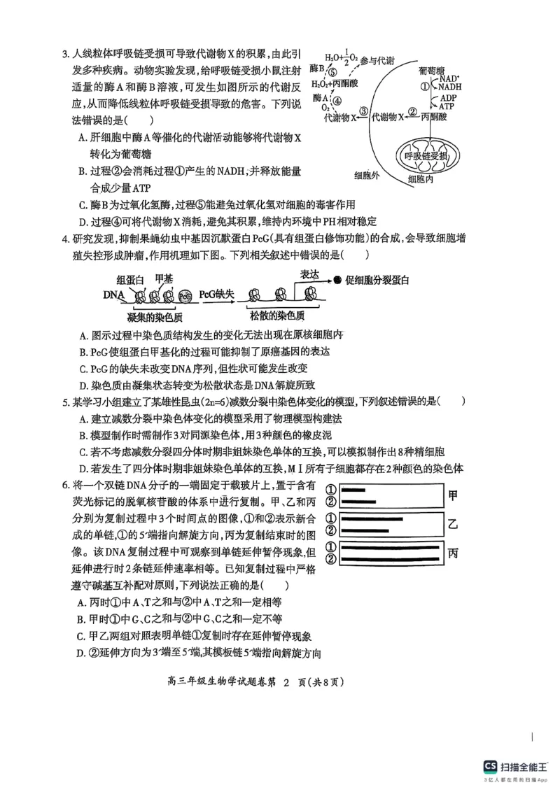安徽省芜湖市2025届高三上学期1月期末考试生物+答案_2025年1月_250125安徽省芜湖市2025届高三上学期1月期末考试（全科）