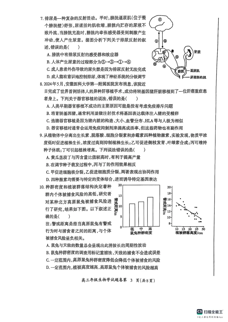 安徽省芜湖市2025届高三上学期1月期末考试生物+答案_2025年1月_250125安徽省芜湖市2025届高三上学期1月期末考试（全科）