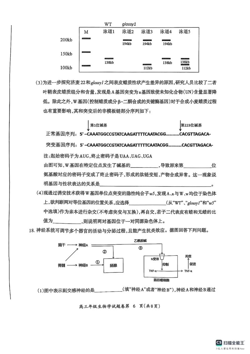安徽省芜湖市2025届高三上学期1月期末考试生物+答案_2025年1月_250125安徽省芜湖市2025届高三上学期1月期末考试（全科）