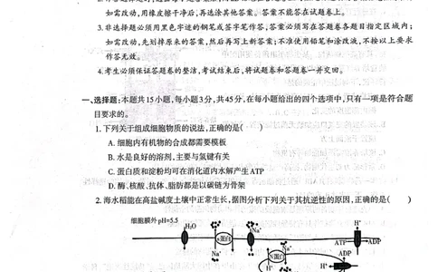 安徽省芜湖市2025届高三上学期1月期末考试生物+答案_2025年1月_250125安徽省芜湖市2025届高三上学期1月期末考试（全科）