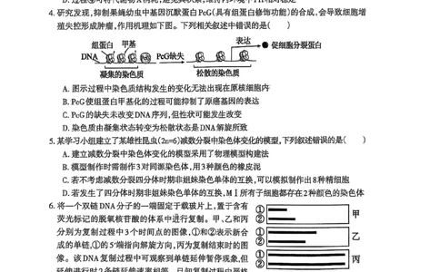 安徽省芜湖市2025届高三上学期1月期末考试生物+答案_2025年1月_250125安徽省芜湖市2025届高三上学期1月期末考试（全科）