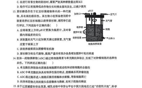 安徽省芜湖市2025届高三上学期1月期末考试生物+答案_2025年1月_250125安徽省芜湖市2025届高三上学期1月期末考试（全科）