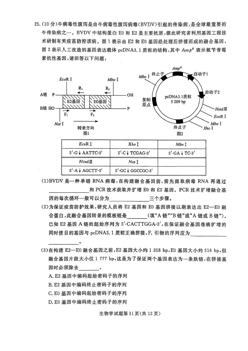 辽宁省名校联盟2024-2025学年高三下学期3月份联合考试生物试题+答案_2025年3月_250304辽宁名校联盟2025届高三下学期3月联考