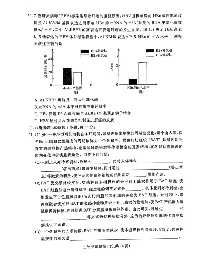 辽宁省名校联盟2024-2025学年高三下学期3月份联合考试生物试题+答案_2025年3月_250304辽宁名校联盟2025届高三下学期3月联考
