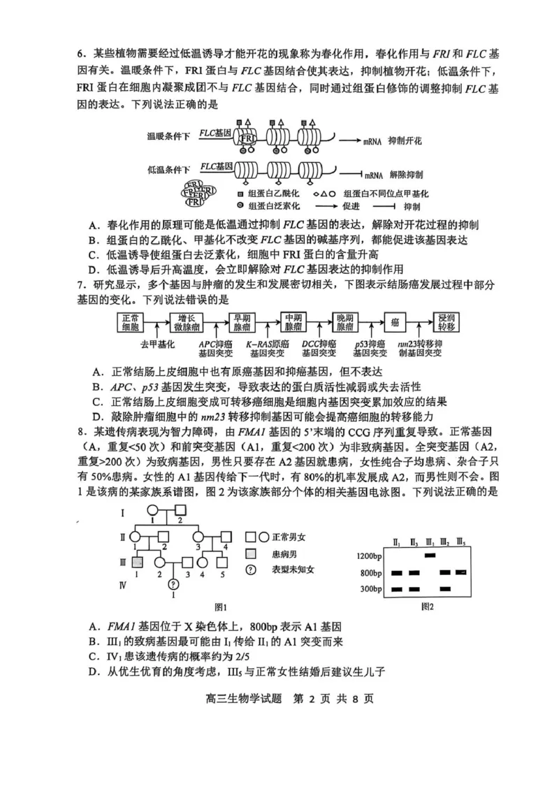 生物试卷_2025年1月_250112山东省淄博市2024-2025学年第一学期高三期末摸底质量检测_山东省淄博市2024-2025学年第一学期高三期末摸底质量检测生物