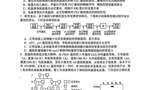 生物试卷_2025年1月_250112山东省淄博市2024-2025学年第一学期高三期末摸底质量检测_山东省淄博市2024-2025学年第一学期高三期末摸底质量检测生物