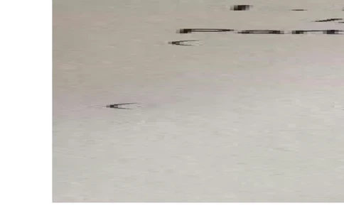 黑龙江省大庆市2016年中考英语真题试题（扫描版，含答案）_中考真题_3.英语中考真题2015-2024年_2016年全国中考YINGYU99份