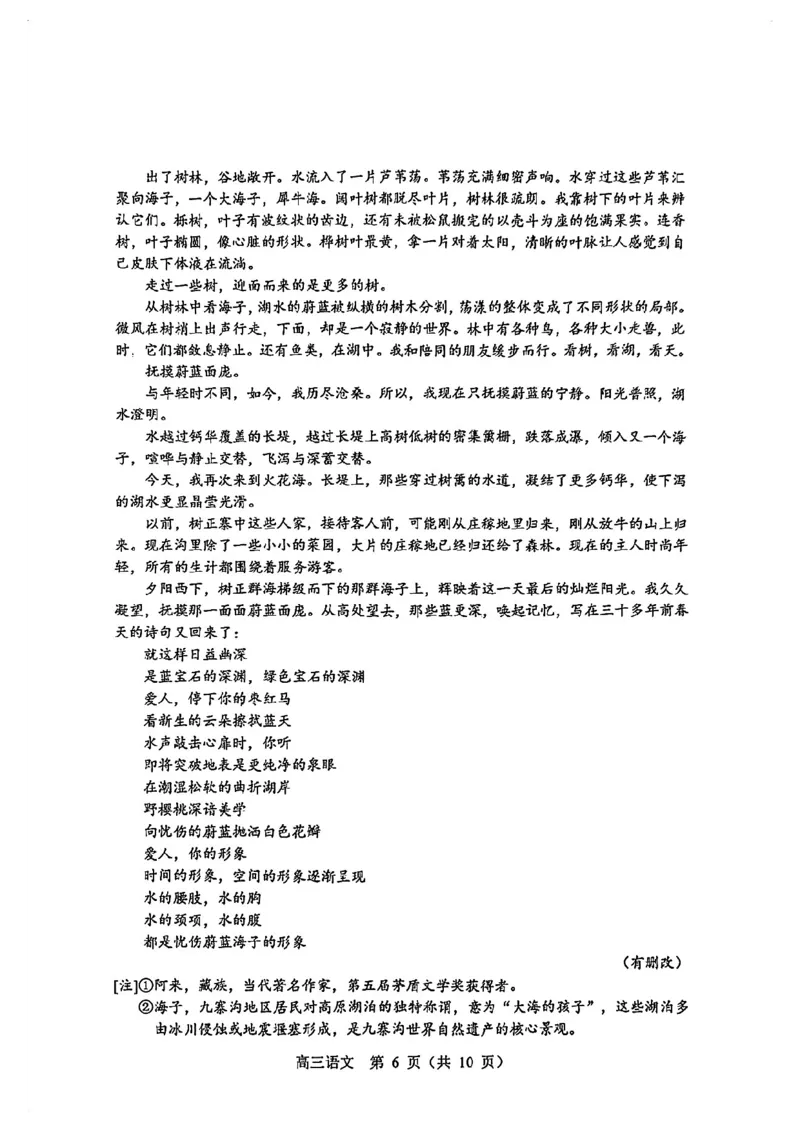 语文试卷_2025年4月_2504082025年东北三省四城市（哈尔滨、沈阳、长春、大连）联考暨沈阳市高三质量监测（二）