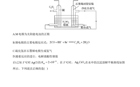 2024届明日之星高考理科综合精英模拟卷全国卷_2024高考押题卷_72024正确教育全系列_2024明日之星全系列_（新高考）2024《明日之星&middot;高考精英模拟卷》（九科全）各一套