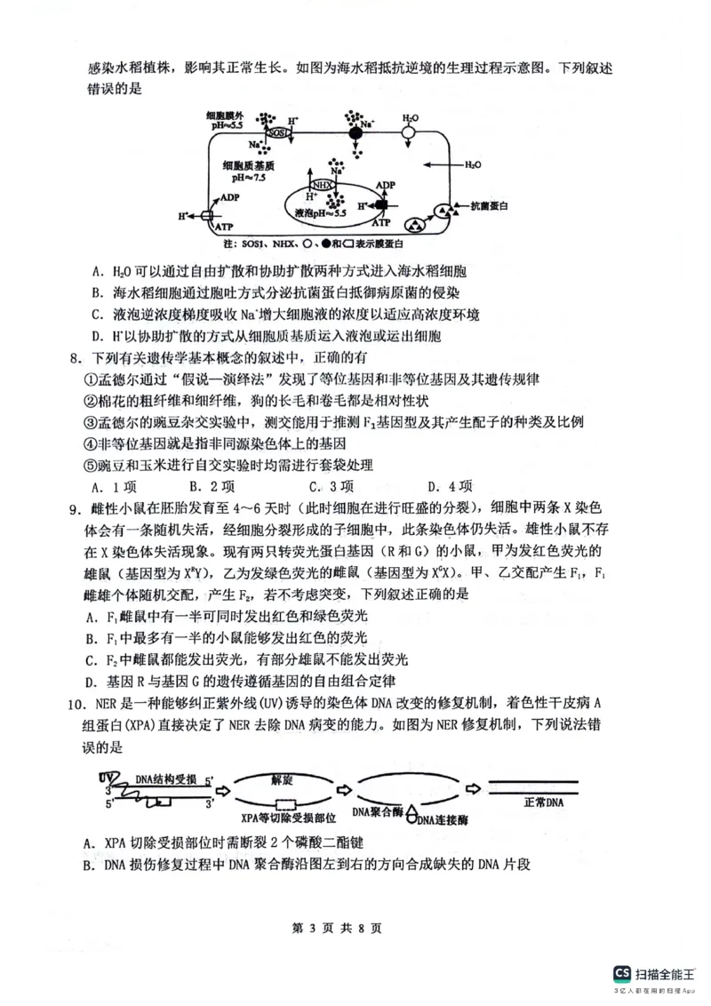 绵阳南山中学高2023级高三第二次教学质量检测+生物试题（含答案）_2025年10月_251001绵阳南山中学高2023级高三第二次教学质量检测（全科）
