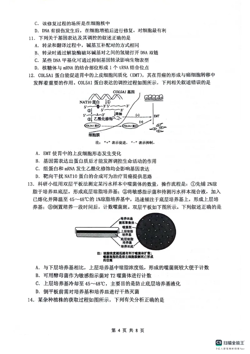 绵阳南山中学高2023级高三第二次教学质量检测+生物试题（含答案）_2025年10月_251001绵阳南山中学高2023级高三第二次教学质量检测（全科）