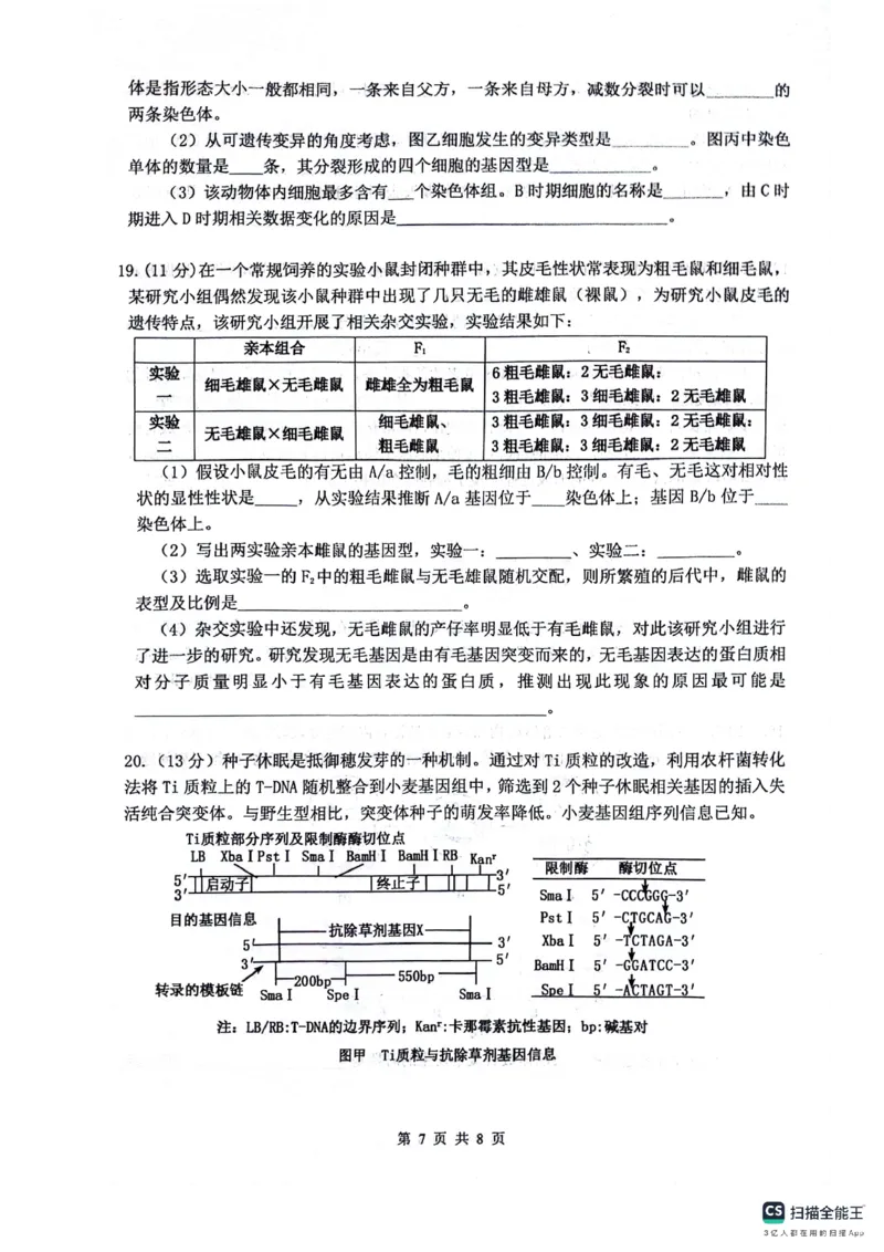 绵阳南山中学高2023级高三第二次教学质量检测+生物试题（含答案）_2025年10月_251001绵阳南山中学高2023级高三第二次教学质量检测（全科）
