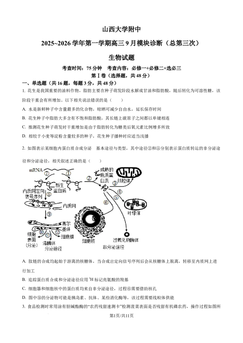 精品解析：山西省山大附中2025-2026学年高三上学期9月月考生物试题（原卷版）_2025年9月