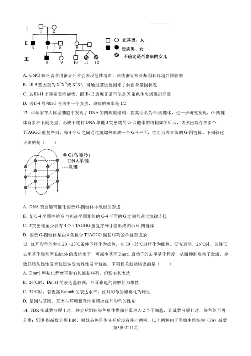 精品解析：山西省山大附中2025-2026学年高三上学期9月月考生物试题（原卷版）_2025年9月