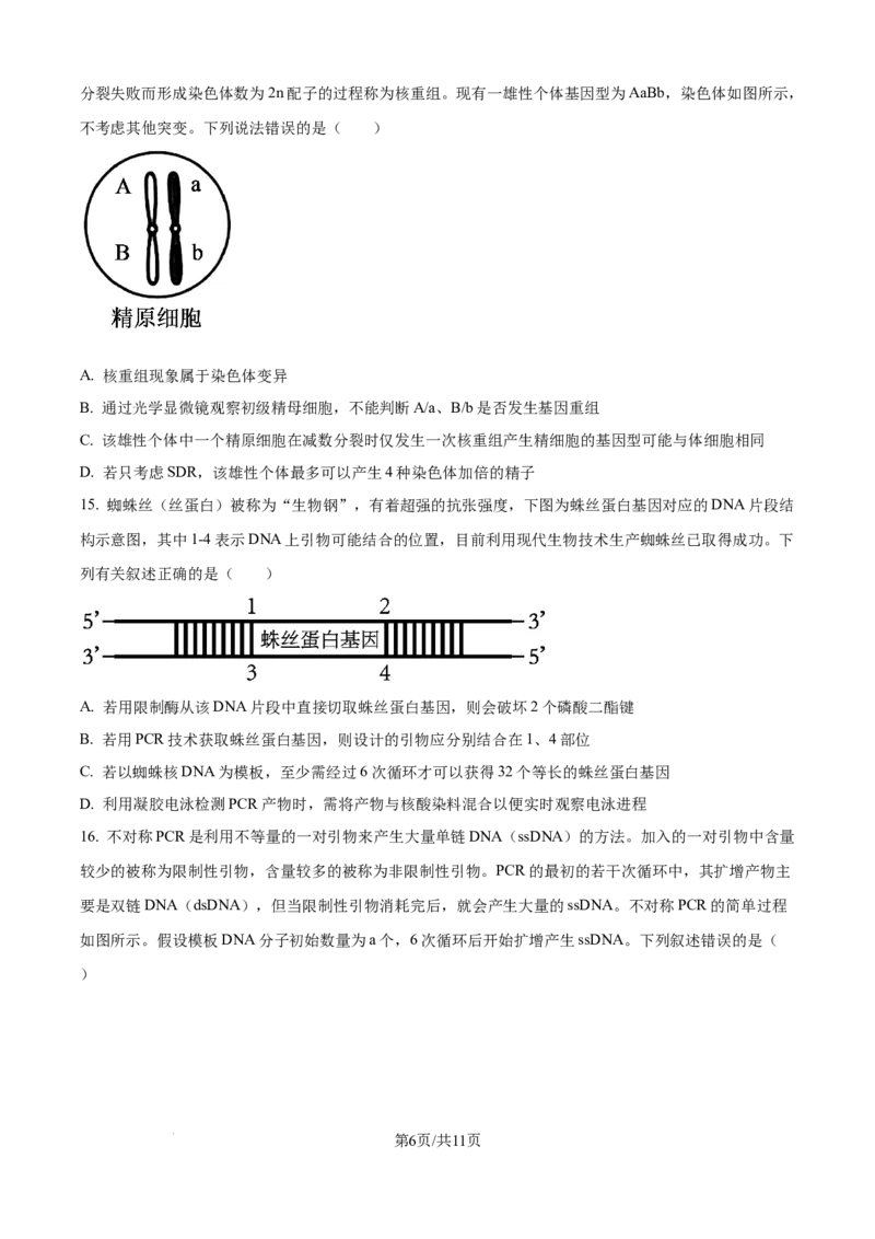 精品解析：山西省山大附中2025-2026学年高三上学期9月月考生物试题（原卷版）_2025年9月