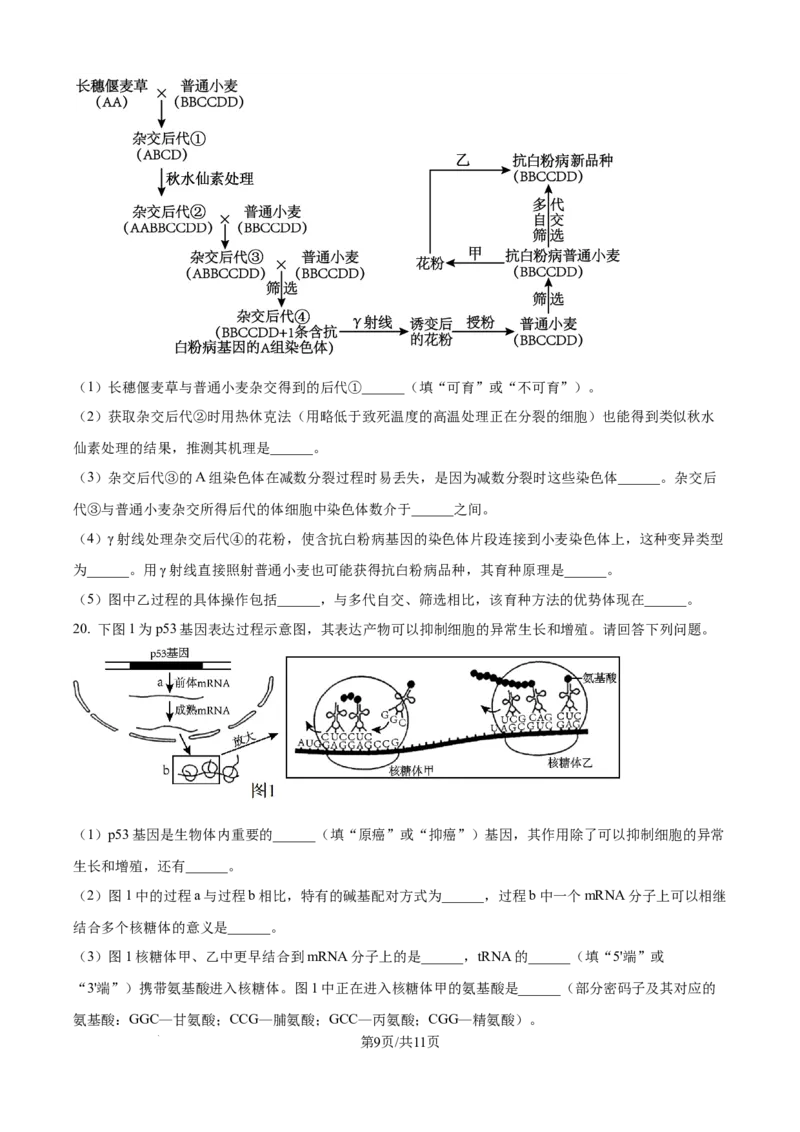 精品解析：山西省山大附中2025-2026学年高三上学期9月月考生物试题（原卷版）_2025年9月