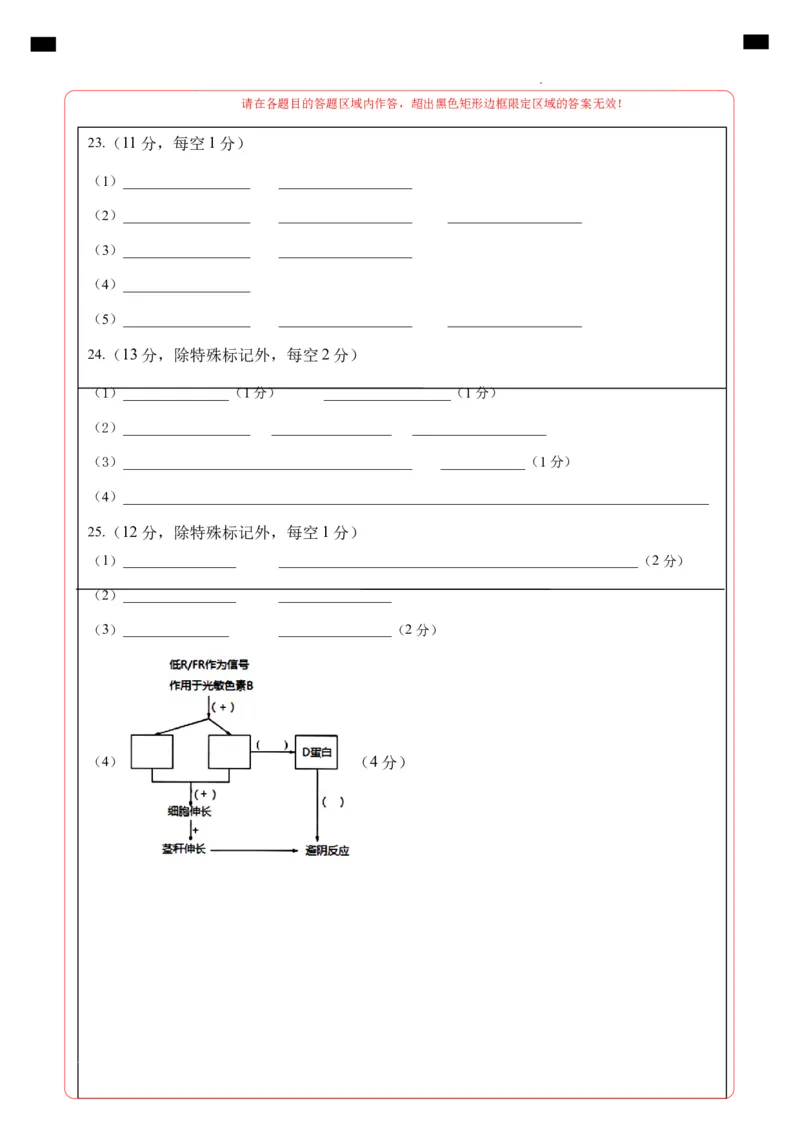高二生物期中模拟卷01（答题卡）（新高考专用）(1)_1多考区联考_1014高二期中模拟卷（新高考通用）黄金卷：2024-2025学年高二上学期期中模拟考试