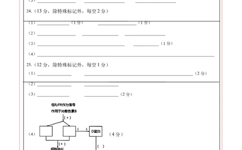 高二生物期中模拟卷01（答题卡）（新高考专用）(1)_1多考区联考_1014高二期中模拟卷（新高考通用）黄金卷：2024-2025学年高二上学期期中模拟考试