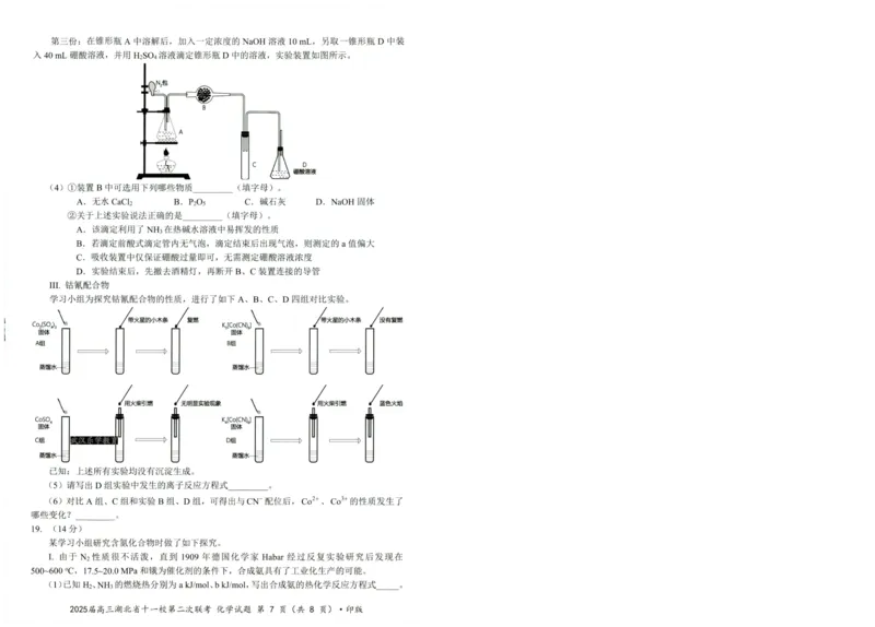 湖北十一校第二次联考化学试卷_2025年3月_250326湖北省十一校2025届高三第二次联考（全科）_化学