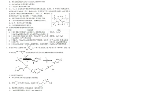 湖北十一校第二次联考化学试卷_2025年3月_250326湖北省十一校2025届高三第二次联考（全科）_化学