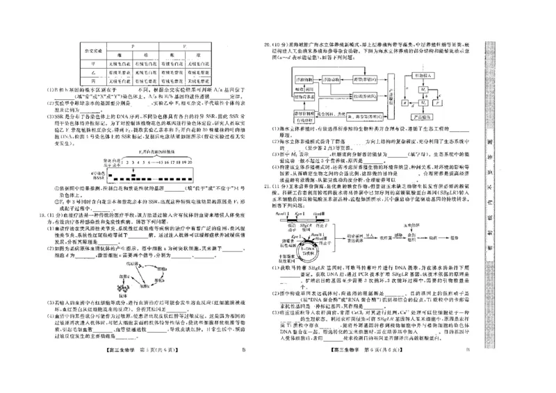 山西省金科大联考2025届高三1月质量检测（25272C）生物_2025年1月_250126山西省金科大联考2025届高三1月质量检测（25272C）（全科）