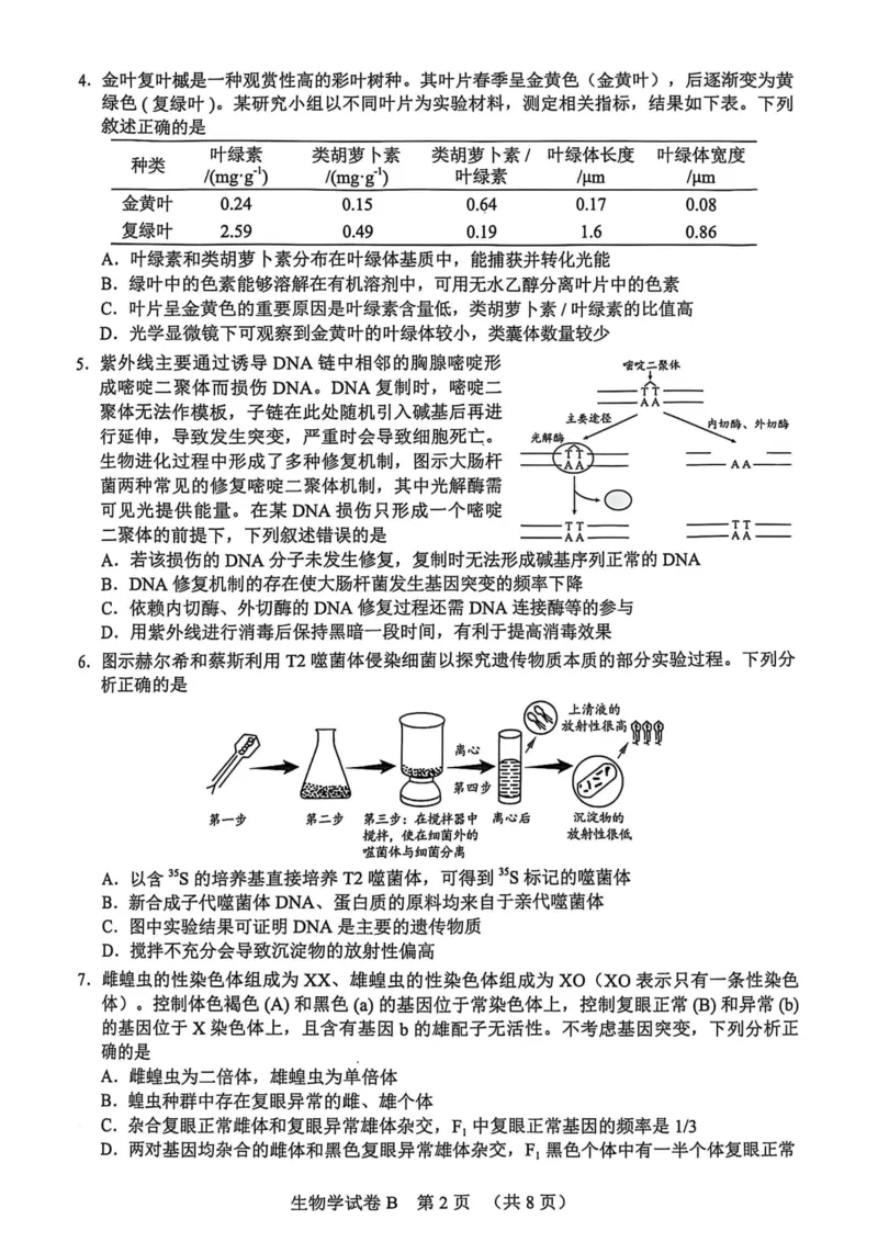 广东省广州市2025届普通高中毕业班综合测试（二）生物_2025年4月_250424广东省广州市普通高中毕业班2025年综合测试(二)（全科）