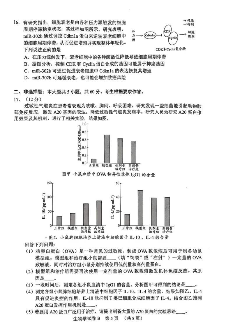 广东省广州市2025届普通高中毕业班综合测试（二）生物_2025年4月_250424广东省广州市普通高中毕业班2025年综合测试(二)（全科）