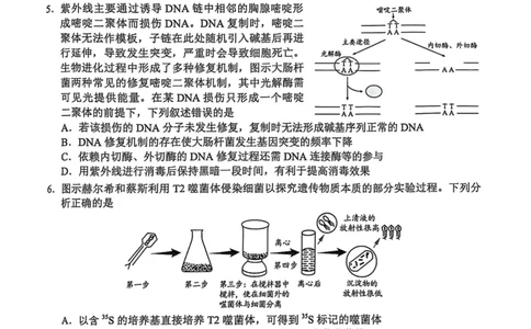 广东省广州市2025届普通高中毕业班综合测试（二）生物_2025年4月_250424广东省广州市普通高中毕业班2025年综合测试(二)（全科）