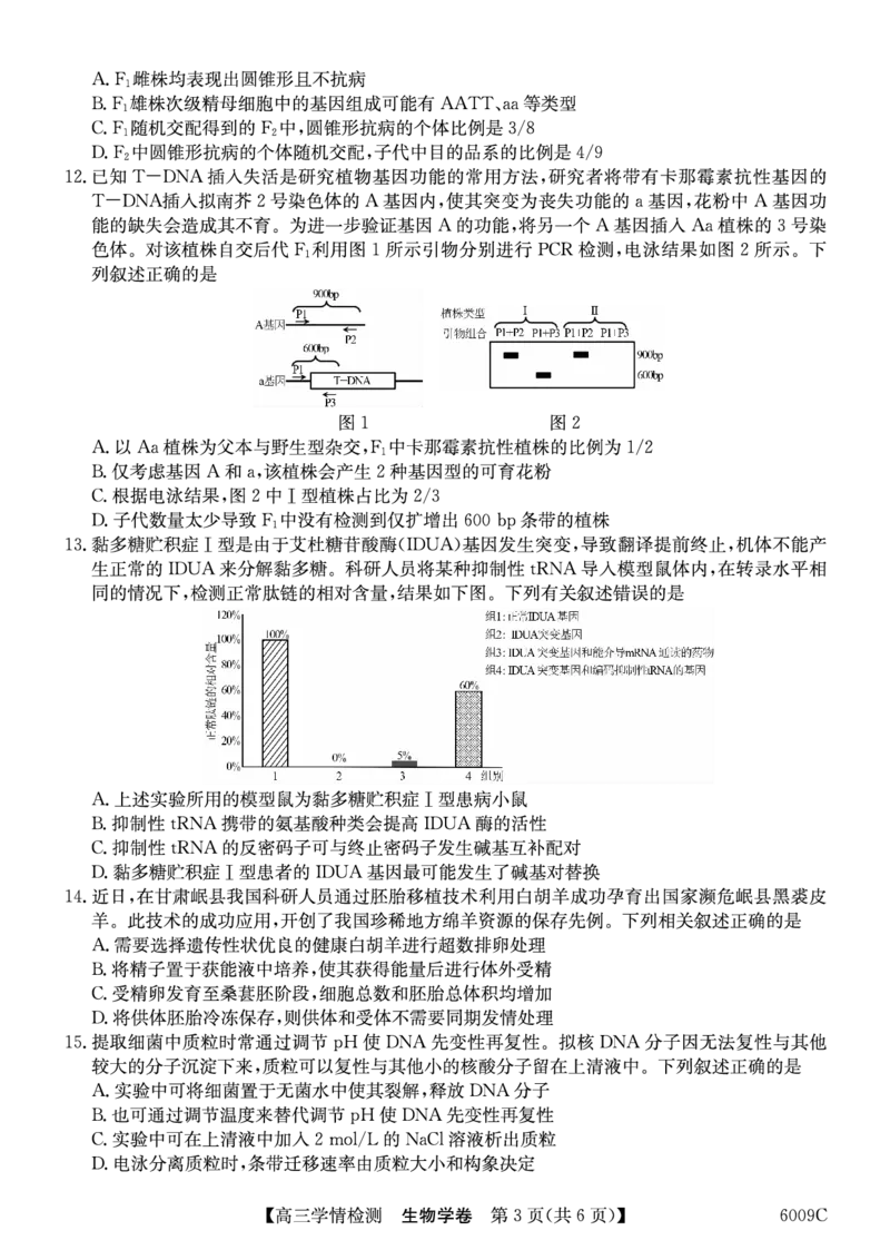 生物学安徽省县中联盟2025-2026学年高三上学期学情检测_2025年8月_250831安徽省县中联盟2025-2026学年高三上学期学情检测（6009C）（全科）