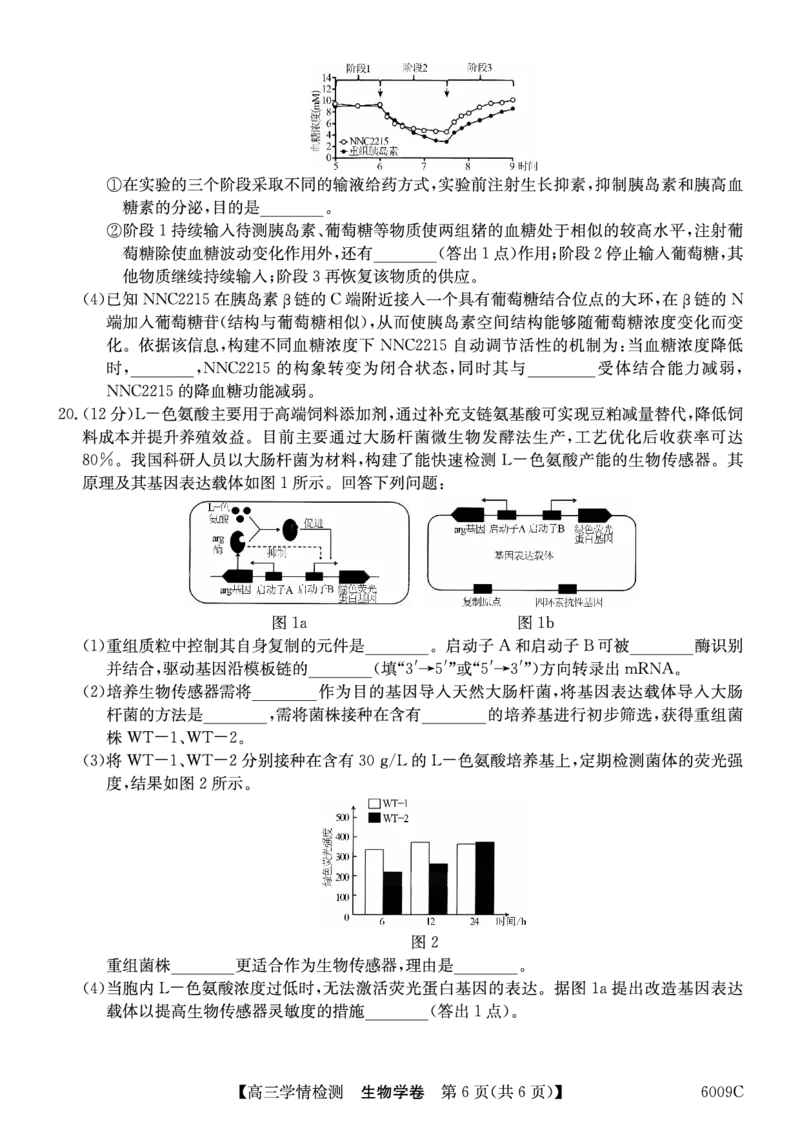 生物学安徽省县中联盟2025-2026学年高三上学期学情检测_2025年8月_250831安徽省县中联盟2025-2026学年高三上学期学情检测（6009C）（全科）